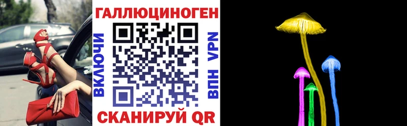 Галлюциногенные грибы Psilocybe  Купить  Алексеевка 