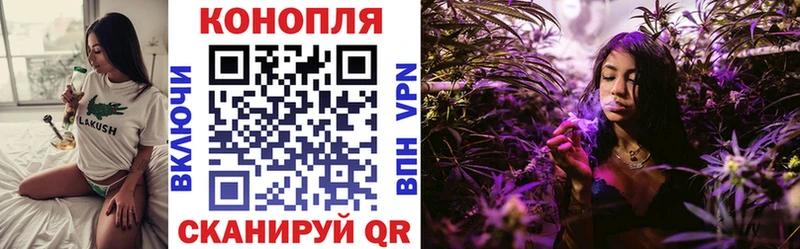 Шишки марихуана SATIVA & INDICA  Купить закладки  Алексеевка 
